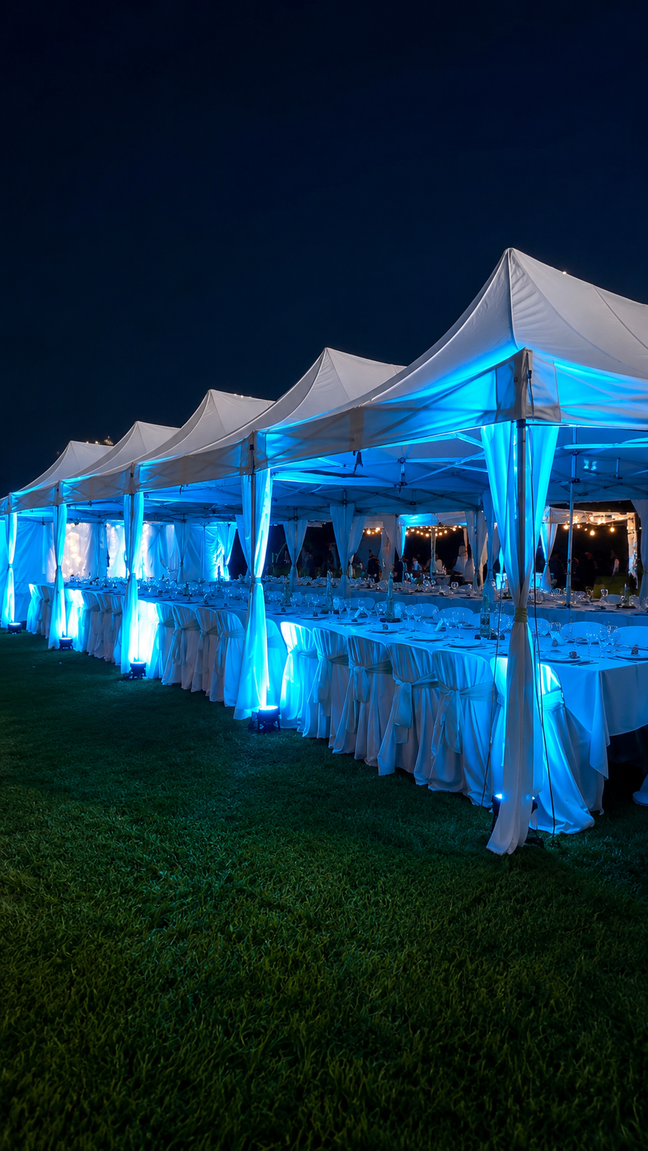 Carpas con iluminación azul de noche